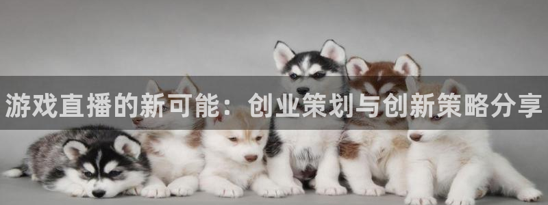 星欧娱乐登录地址：游戏直播的新可能：创业策划与创新策略分享