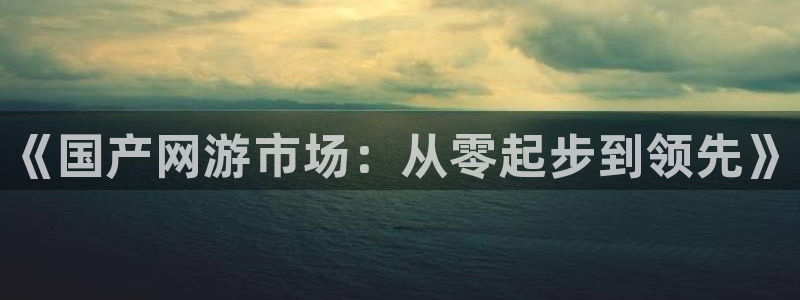 星欧娱乐官网登录：《国产网游市场：从零起步到领先》