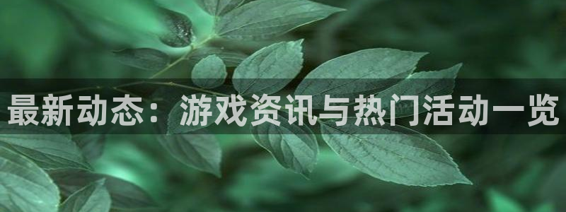星欧娱乐平台登录：最新动态：游戏资讯与热门活动一览