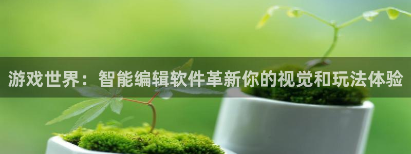 星欧娱乐是什么：游戏世界：智能编辑软件革新你的视觉和玩法体验