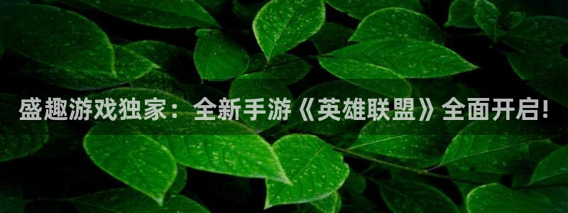 星欧娱乐平台负责人：盛趣游戏独家：全新手游《英雄联盟》全面开