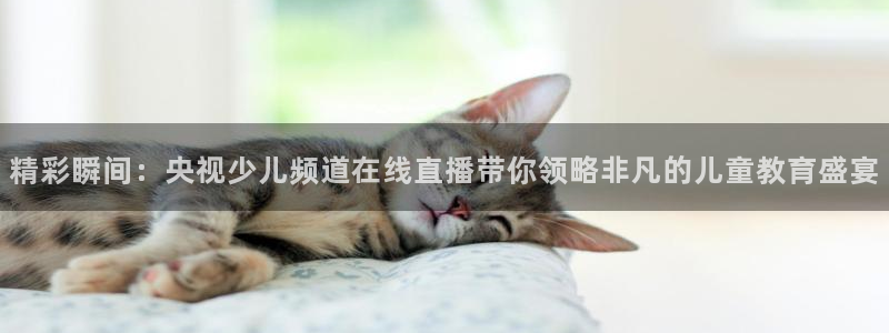 劲爆体育无插件直播